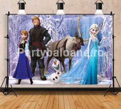 BACKGROUND TEXTIL PENTRU ARANJAMENT ARCADA FROZEN ANA SI ELSA COD 152