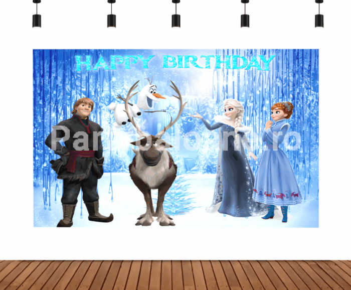 BACKGROUND TEXTIL PENTRU ARANJAMENT ARCADA FROZEN ELSA - COD 413B