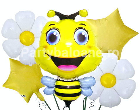 SET 5 BALOANE FOLIE ALBINA SI MARGARETE