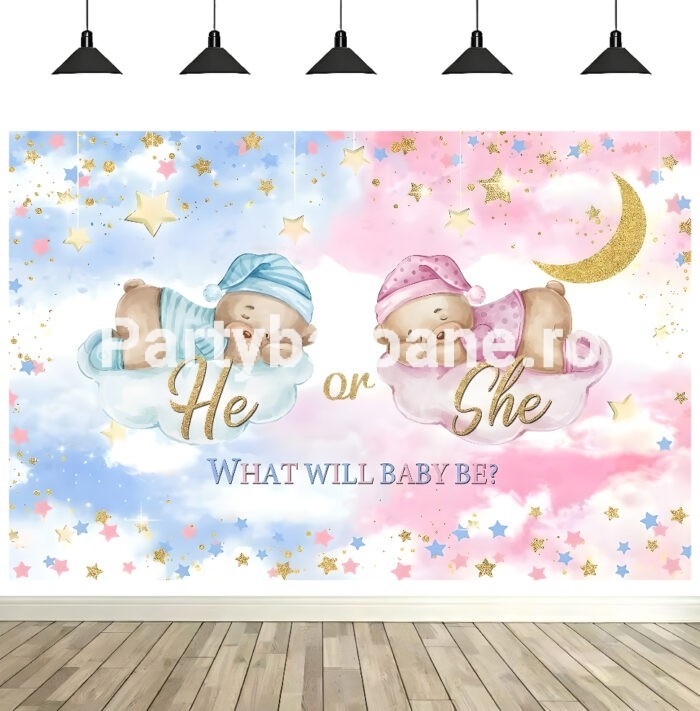 Fundal Gender Reveal Boy or Girl Fundal foto textil petrecere Gender Reveal Boy or Girl cu ursuleti dormind pe nori roz si albastri, stele aurii si textul He or She What will baby be.